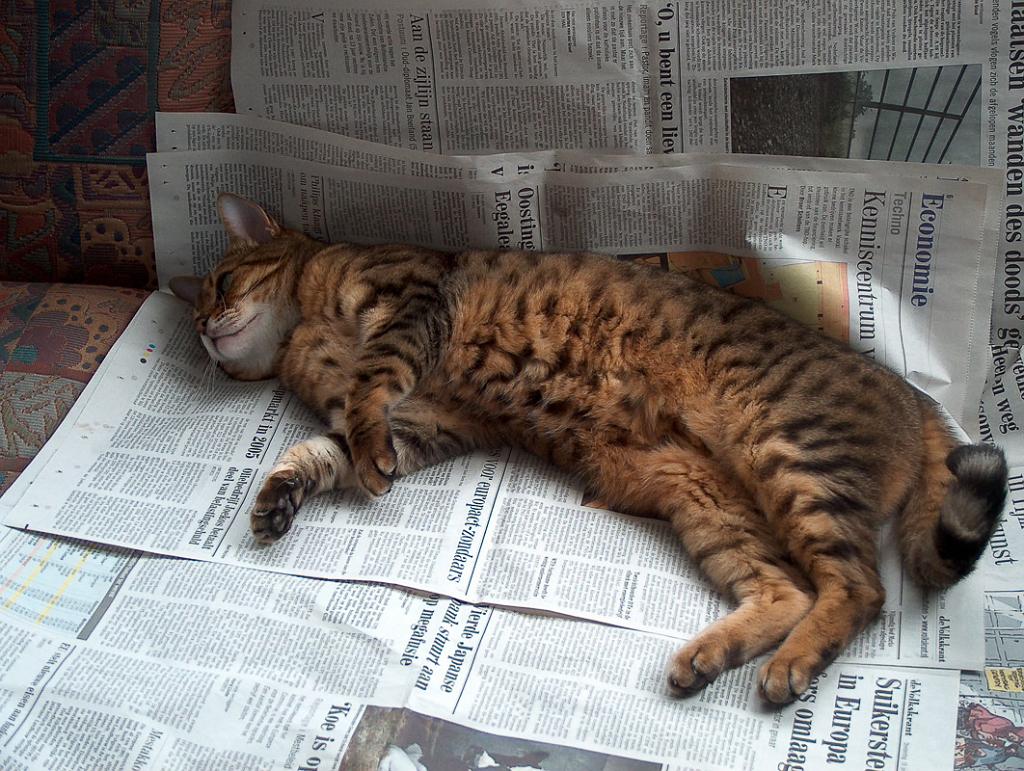 Flop en Spook  _03-12-10_05.JPG
